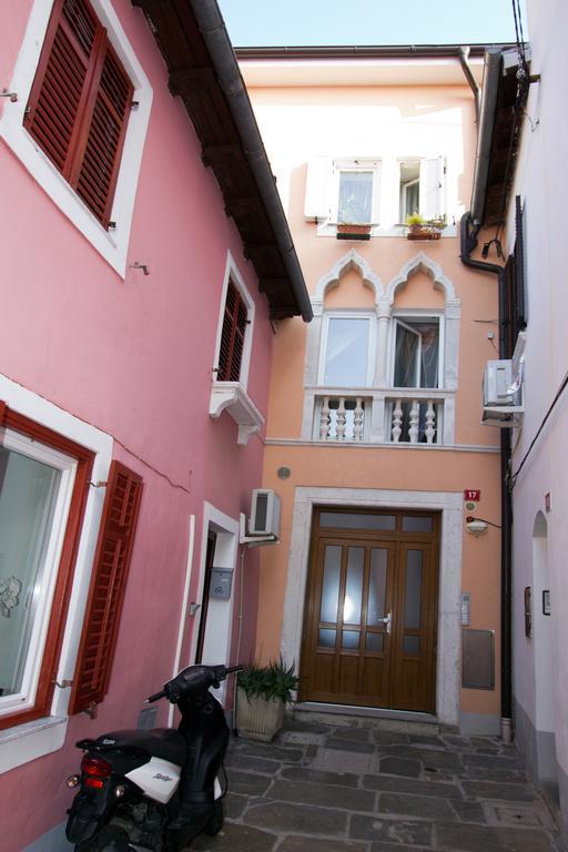 Perc Koper